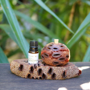 Banksia Aroma Pod and Oil Stand