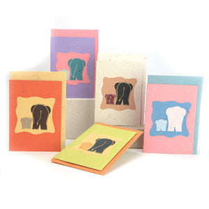 Elephant Dung Paper Greeting Card Bottoms