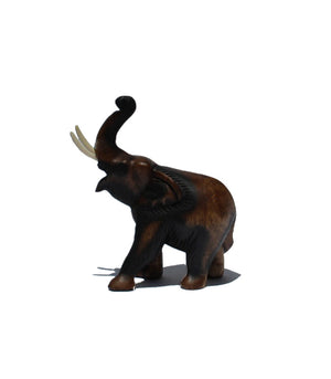 Wooden Elephant Trunk Up 20cm size 5