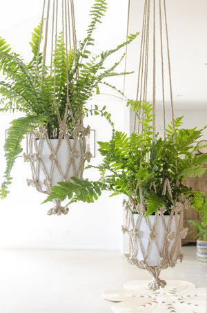 Our macrame plant hangers are designed to display your indoor plants with unique flair. flower plant hanger. jute plant hanger. macrame plant hanger. hanging plants. 