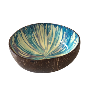 Coconut Bowl Painted Design