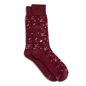 Conscious Step Socks That Support Space Exploration Constellation