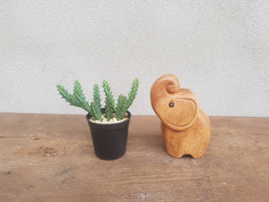 Wooden Baby Elephant Trunk Up