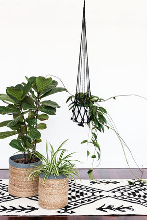 Our macrame plant hangers are designed to display your indoor plants with unique flair. flower plant hanger. jute plant hanger. macrame plant hanger. hanging plants. black plant hanger.